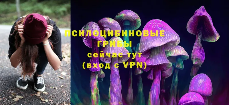 Псилоцибиновые грибы MAGIC MUSHROOMS  Волгоград 